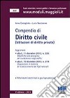 Compendio di Diritto civile (Istituzioni di diritto privato) libro