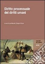 Diritto processuale dei diritti umani libro