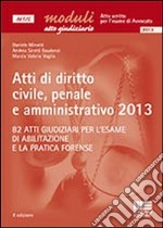 Atti di diritto civile, penale e amministrativo 2013. Ediz. illustrata libro