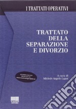 Trattato della separazione e divorzio. Con CD-ROM libro