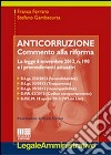 Anticorruzione libro