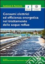 Consumi elettrici ed efficienza energetica del trattamento delle acque reflue libro