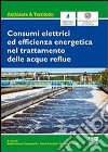 Consumi elettrici ed efficienza energetica del trattamento delle acque reflue libro