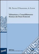 Valutazione e consolidamento sismico dei ponti esistenti