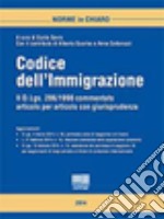 Codice dell'immigrazione