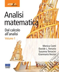 Analisi matematica. Dal calcolo all'analisi. Vol. 1