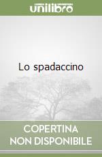 Lo spadaccino