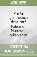 Pianta geometrica della città Palermo. Marchese Villabianca libro