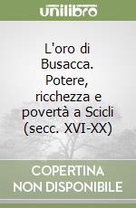 L'oro di Busacca. Potere, ricchezza e povertà a Scicli (secc. XVI-XX) libro