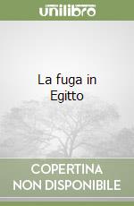 La fuga in Egitto libro