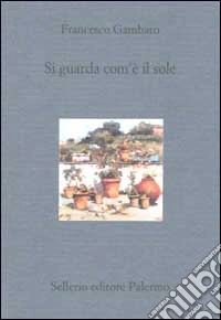 Si guarda com'è il sole