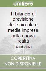 Il bilancio di previsione delle piccole e medie imprese nella nuova realtà bancaria libro