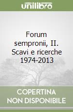 Forum sempronii, II. Scavi e ricerche 1974-2013