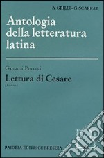 Lettura di Cesare libro