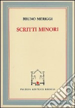 Scritti minori libro