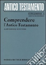 Comprendere l'Antico Testamento. Un'ermeneutica libro