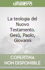 La teologia del Nuovo Testamento. Gesù, Paolo, Giovanni libro