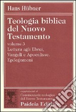 Teologia biblica del Nuovo Testamento. Vol. 3: Lettera agli ebrei, vangeli e Apocalisse. Epilegomeni libro