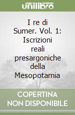 I re di Sumer. Vol. 1: Iscrizioni reali presargoniche della Mesopotamia libro