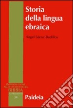 Storia della lingua ebraica libro