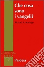 Che cosa sono i vangeli? libro