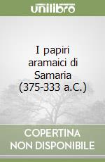 I papiri aramaici di Samaria (375-333 a.C.) libro