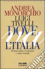 Dove va l'Italia. Democrazia, economia e Stato sociale libro