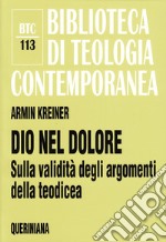 Dio nel dolore. Sulla validità degli argomenti della teodicea libro