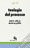 Teologia del processo. Una esposizione introduttiva libro