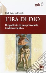 L'ira di Dio. Il significato di una provocante tradizione biblica