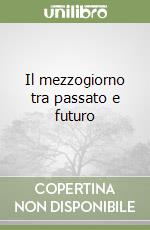 Il mezzogiorno tra passato e futuro libro