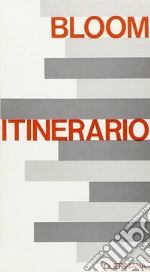 Itinerario. Meditazioni su un tema libro