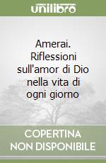 Amerai. Riflessioni sull'amor di Dio nella vita di ogni giorno libro