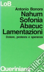 Nahum, Sofonia, Abacuc, Lamentazioni. Dolore, protesta e speranza libro