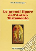 Le grandi figure dell'Antico Testamento. 40 storie di fede e di vita con spiegazione dei concetti più importanti dell'Antico Testamento libro