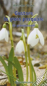 Gustare la gioia pasquale. 50 provocazioni libro