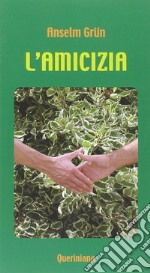 L'amicizia libro