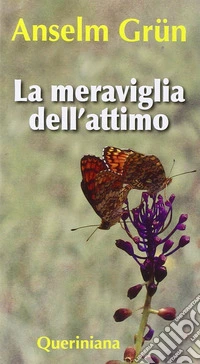 La Meraviglia dell'attimo libro