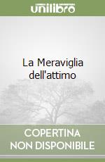 La Meraviglia dell'attimo libro