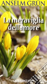 La meraviglia dell'amore libro