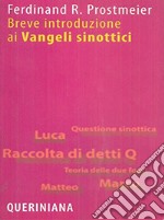 Breve introduzione ai vangeli sinottici libro