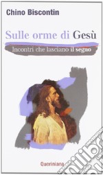 Sulle orme di Gesù. Incontri che lasciano il segno libro