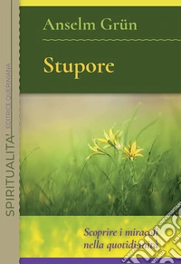 Stupore. Scoprire i miracoli nella quotidianità. Nuova ediz.