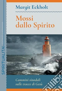 Mossi dallo spirito. Cammini sinodali sulle tracce di Gesù. Meditazioni bibliche libro