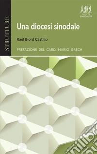 Una diocesi sinodale libro