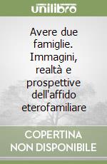 Avere due famiglie. Immagini, realtà e prospettive dell'affido eterofamiliare libro