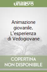 Animazione giovanile. L'esperienza di Vedogiovane libro