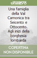 Una famiglia della Val Camonica tra Seicento e Ottocento. Agli inizi della borghesia lombarda libro