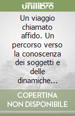 Un viaggio chiamato affido. Un percorso verso la conoscenza dei soggetti e delle dinamiche dell'affidamento familiare libro