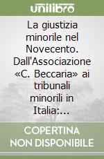 La giustizia minorile nel Novecento. Dall'Associazione «C. Beccaria» ai tribunali minorili in Italia: biografia di un'istituzione libro